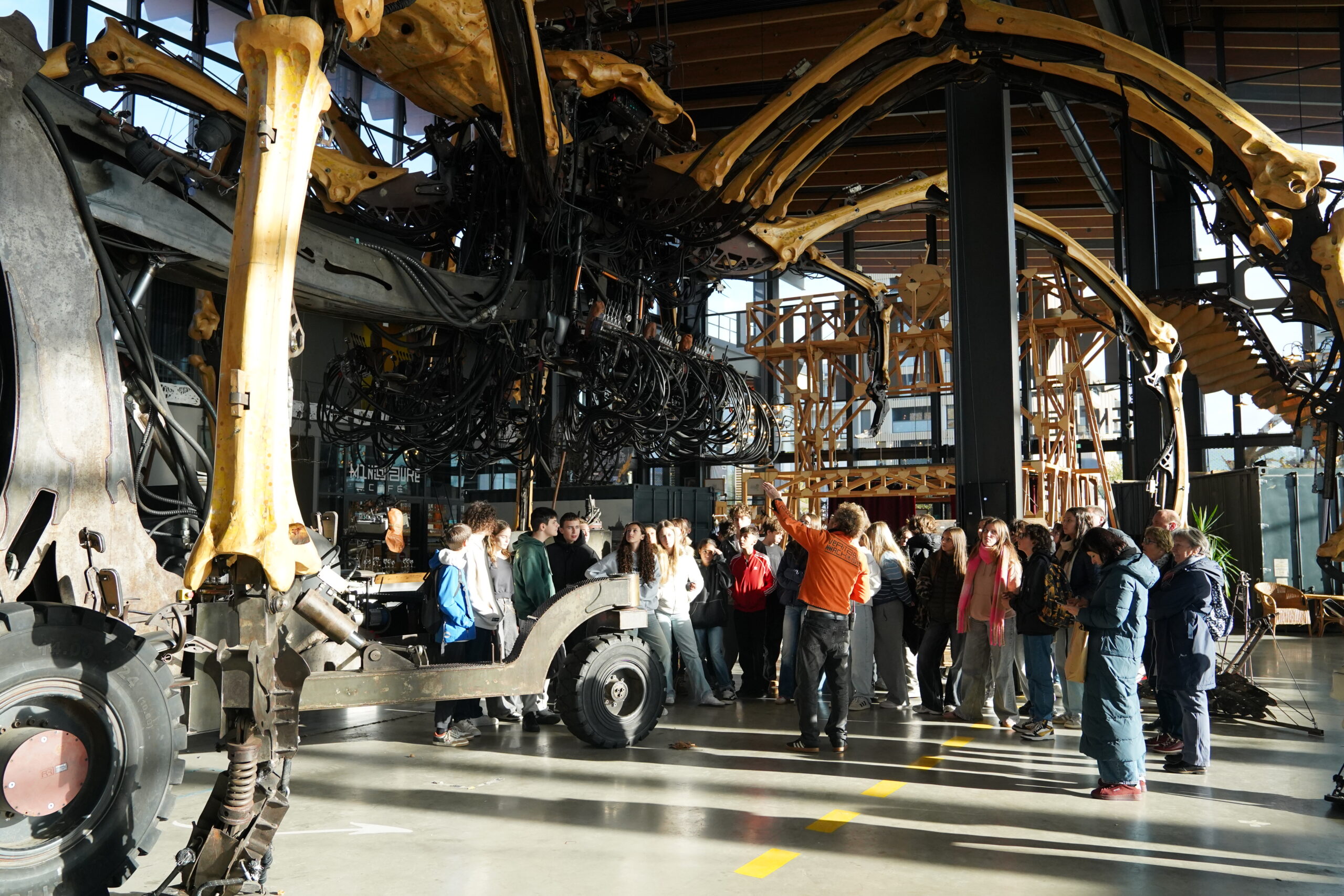 Illustration : LA SEMAINE DE L’ORIENTATION