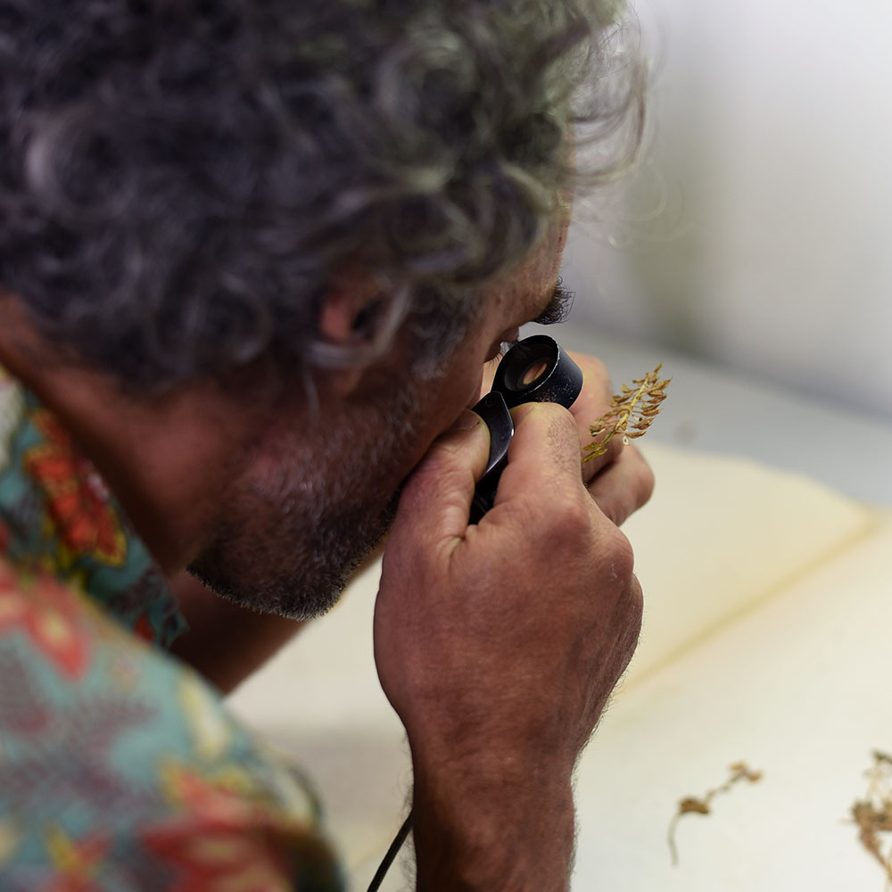 Illustration : CONFÉRENCE CROISÉE avec le muséum